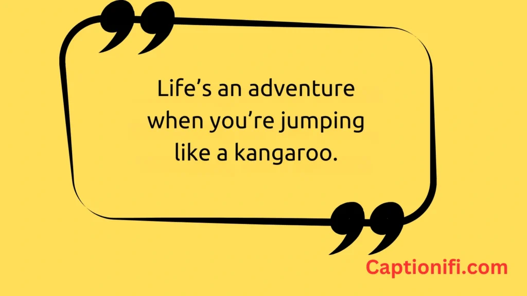  Adventure-Inspired Kangaroo Captions