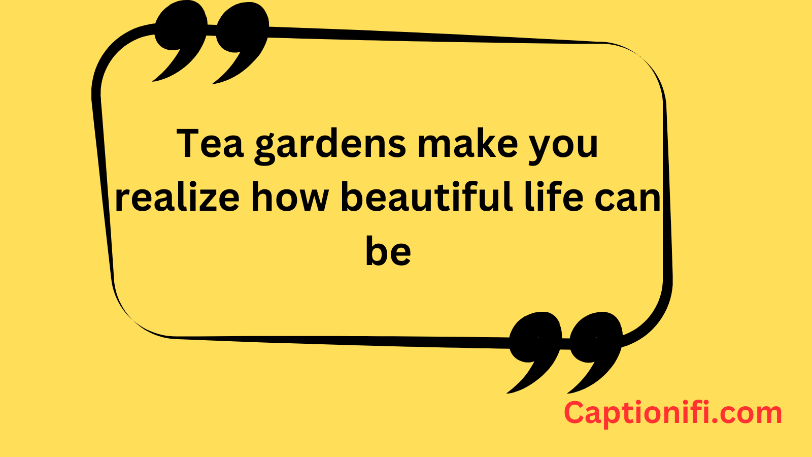 Tea Garden Captions